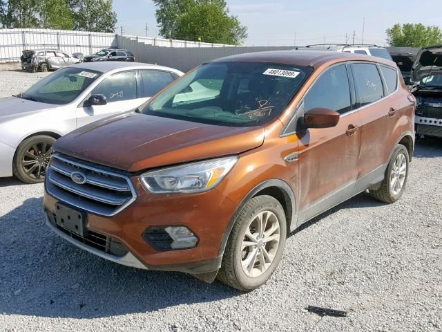 Ford Escape