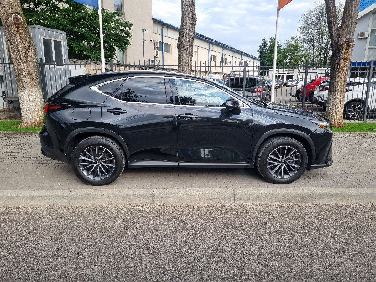 Lexus NX Series 2022 photo 4