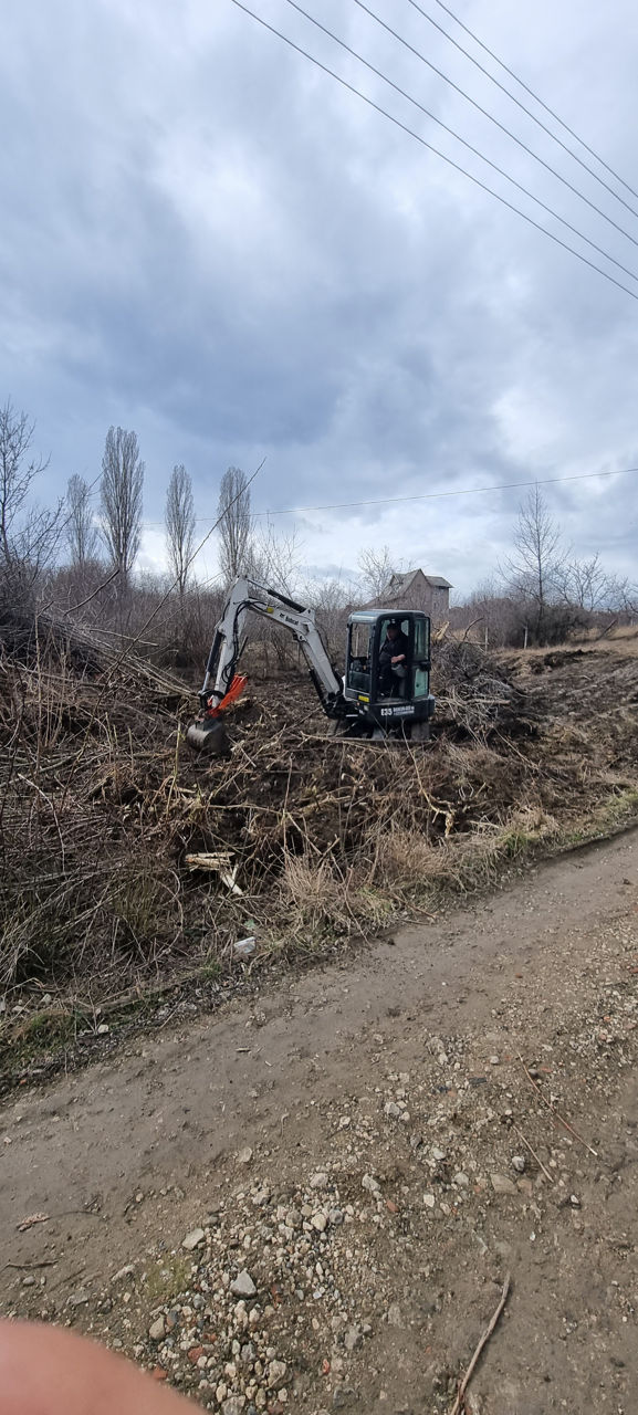 Defrisarea taierea copacilor Распил деревьев foto 7