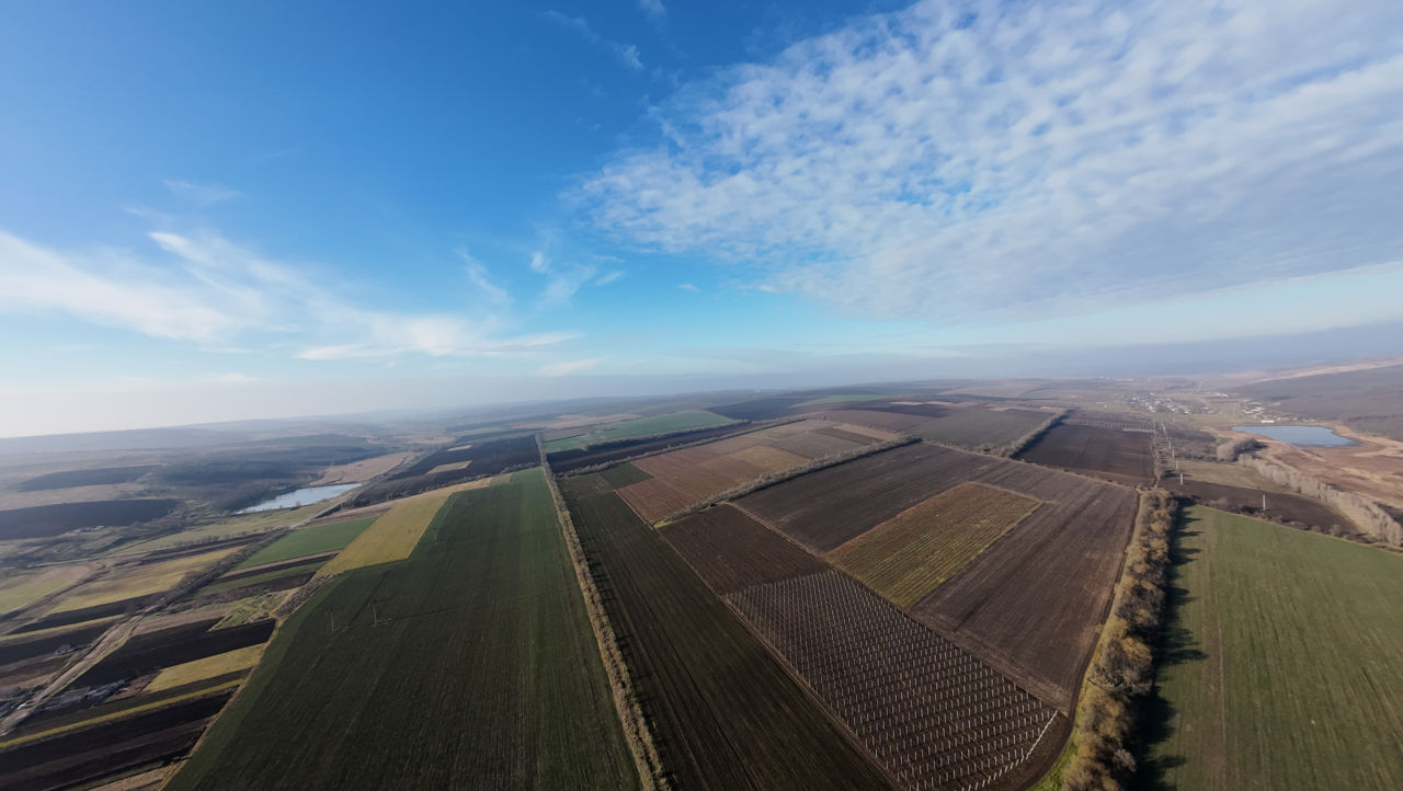 Vanzare Teren Agricol Ferma Depozit Arteziana 380v Bazin foto 8