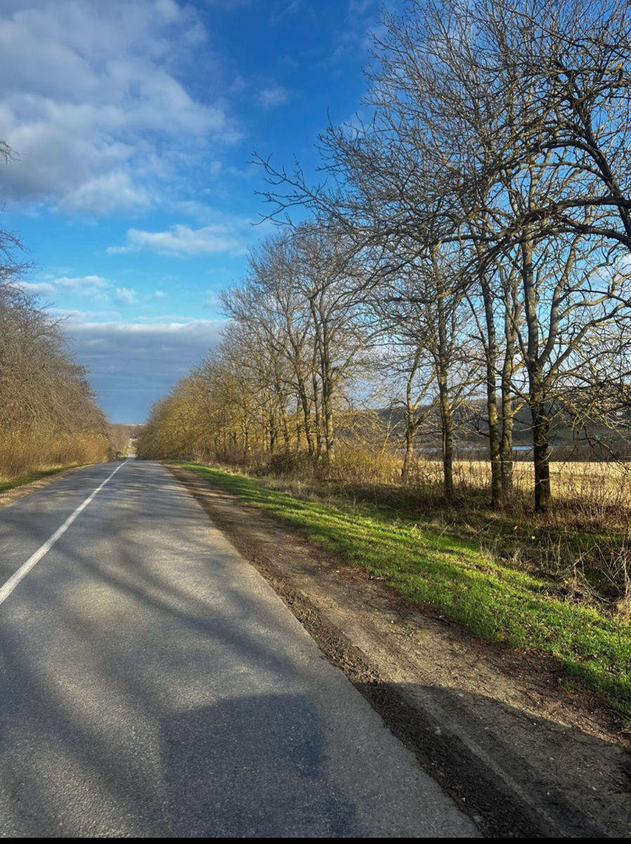 Vând 3.68ha,la traseu
