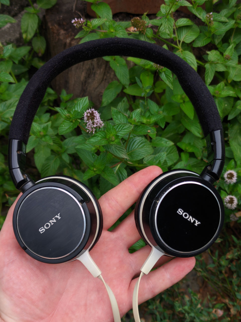 Sony MDR-ZX600 / ZX 600 фото 0