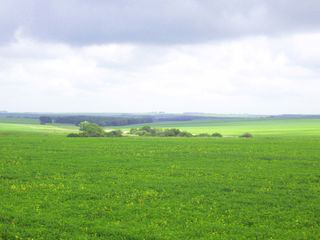 Teren agricol, Tohatin, 30 ari