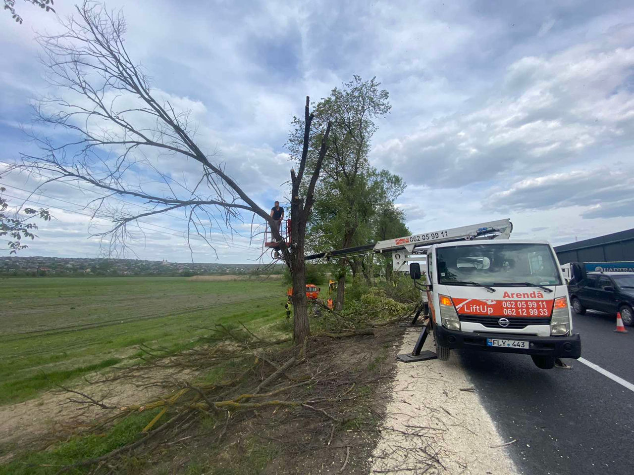 Servicii de curățare și întreținere a terenurilor foto 7