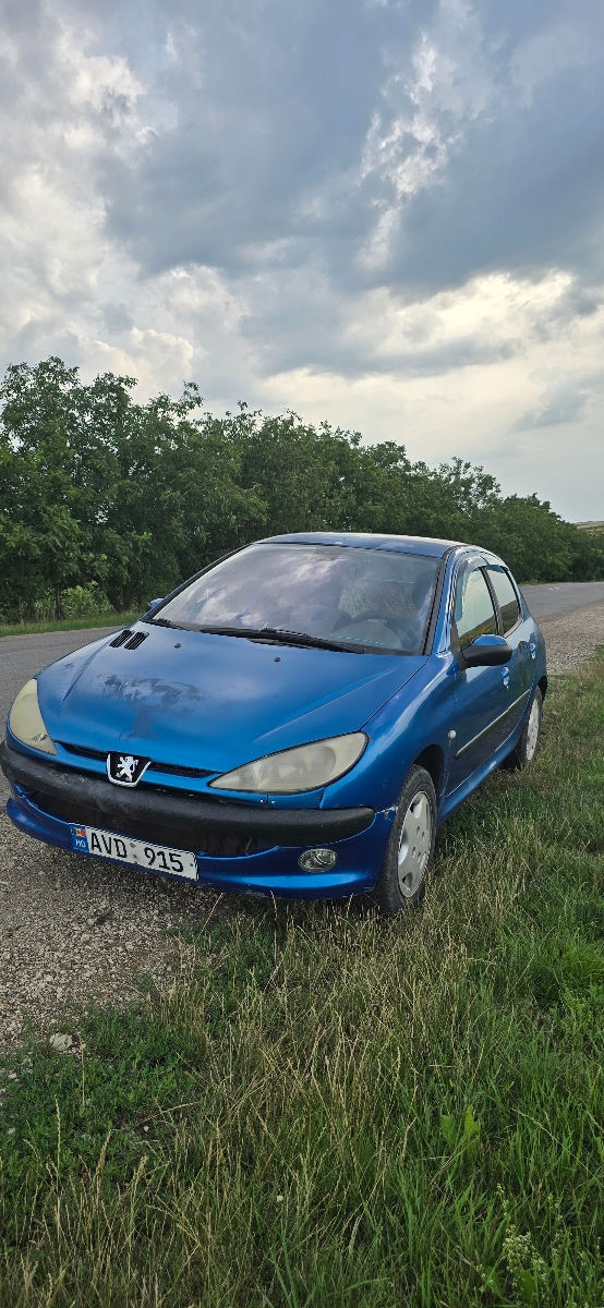 Peugeot 206 foto 1