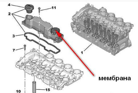 Мембрана сапуна клапанной крышки FORD 1,6HDI foto 1