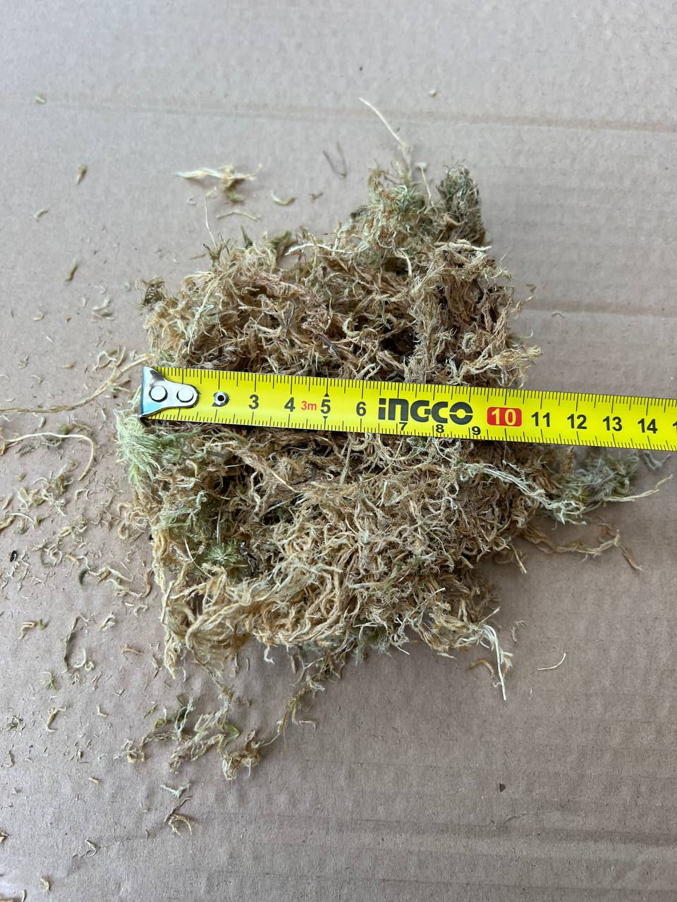 Sphagnum moss, mușchi de turbă pentru plante,muschi sphagnum natural livrare in Moldova foto 1