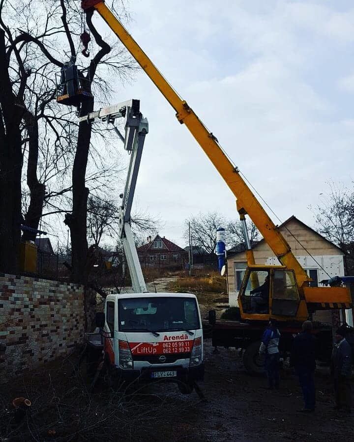 Удаление аварийного дерева, валка по частям. foto 4