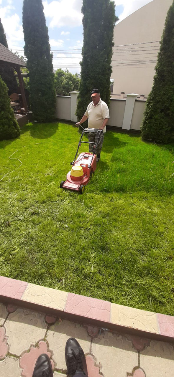 Servicii de curatarea terenurilor, pregatirea pentru costructii, cosirea ierbii, etc! foto 13