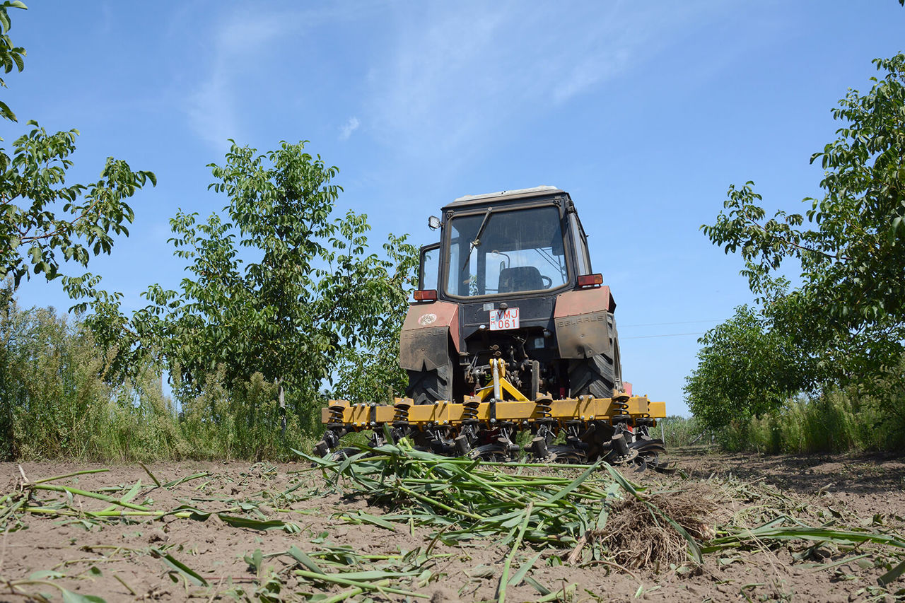 Cultivator-freza rotativa pt vii si livezi/Ротационный Культиватор-Фреза рабочая ширина  от 1,7 м фото 0