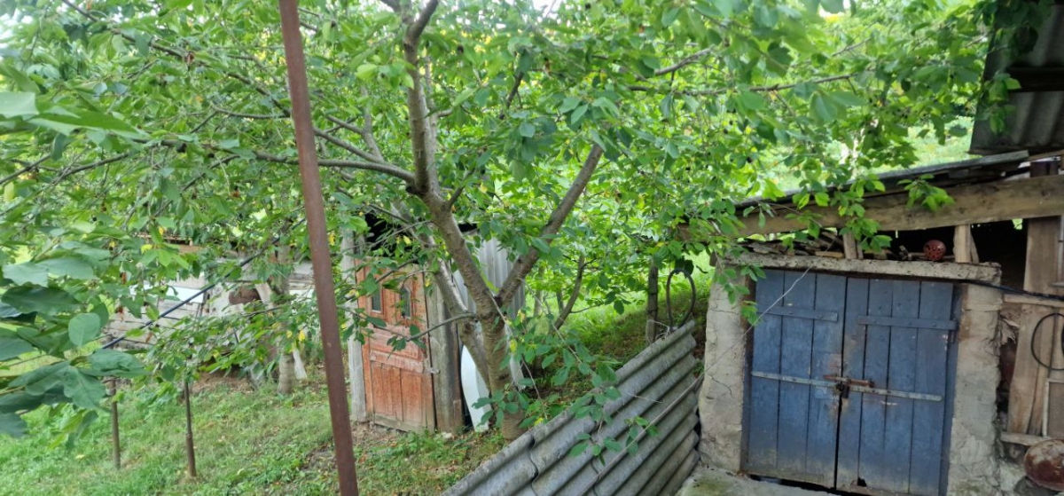Продаётся дом в селе Мындра (район Калараш)! фото 3