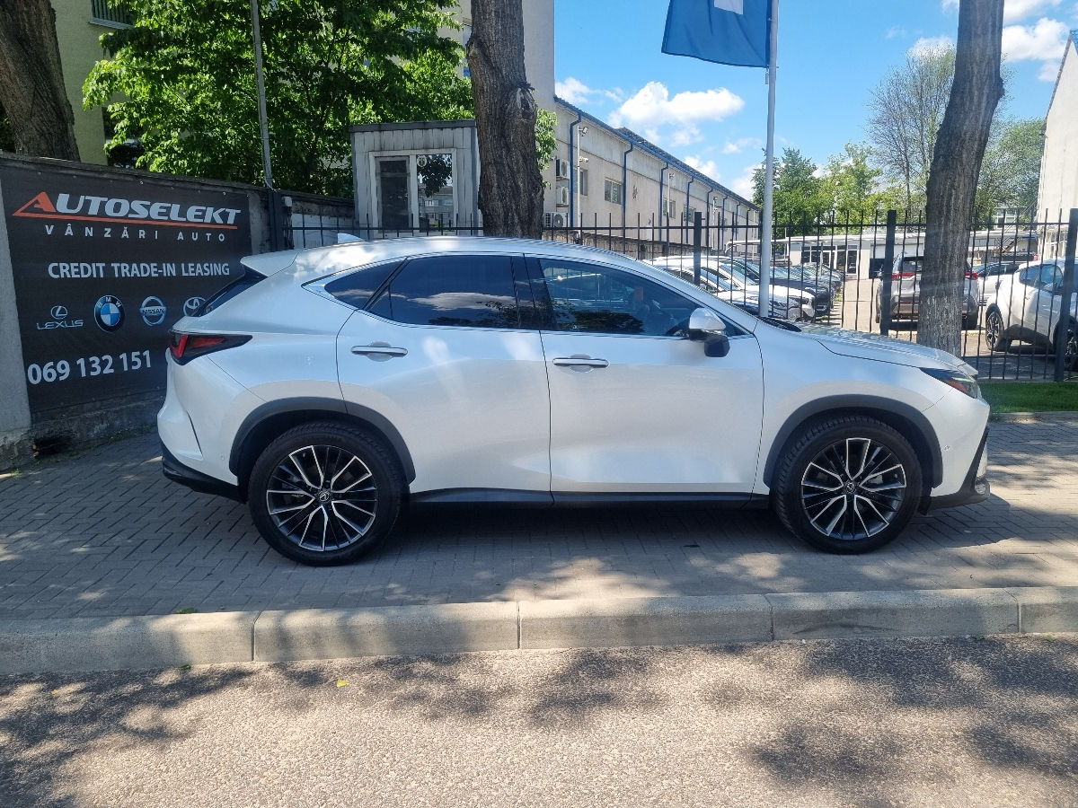 Lexus NX Series 2022 photo 5
