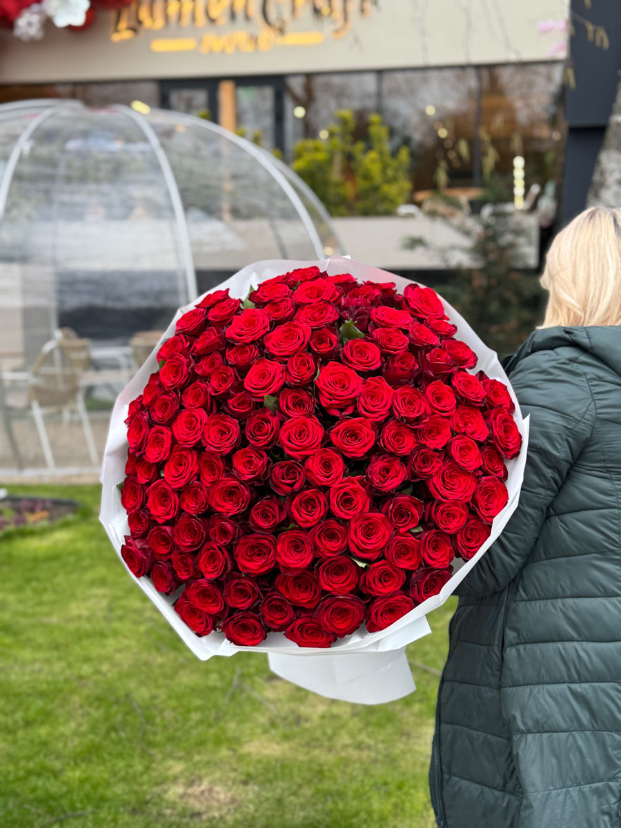 Oferte speciale la lalele! 51 la 1000 lei / soiuri olandeze! foto 2
