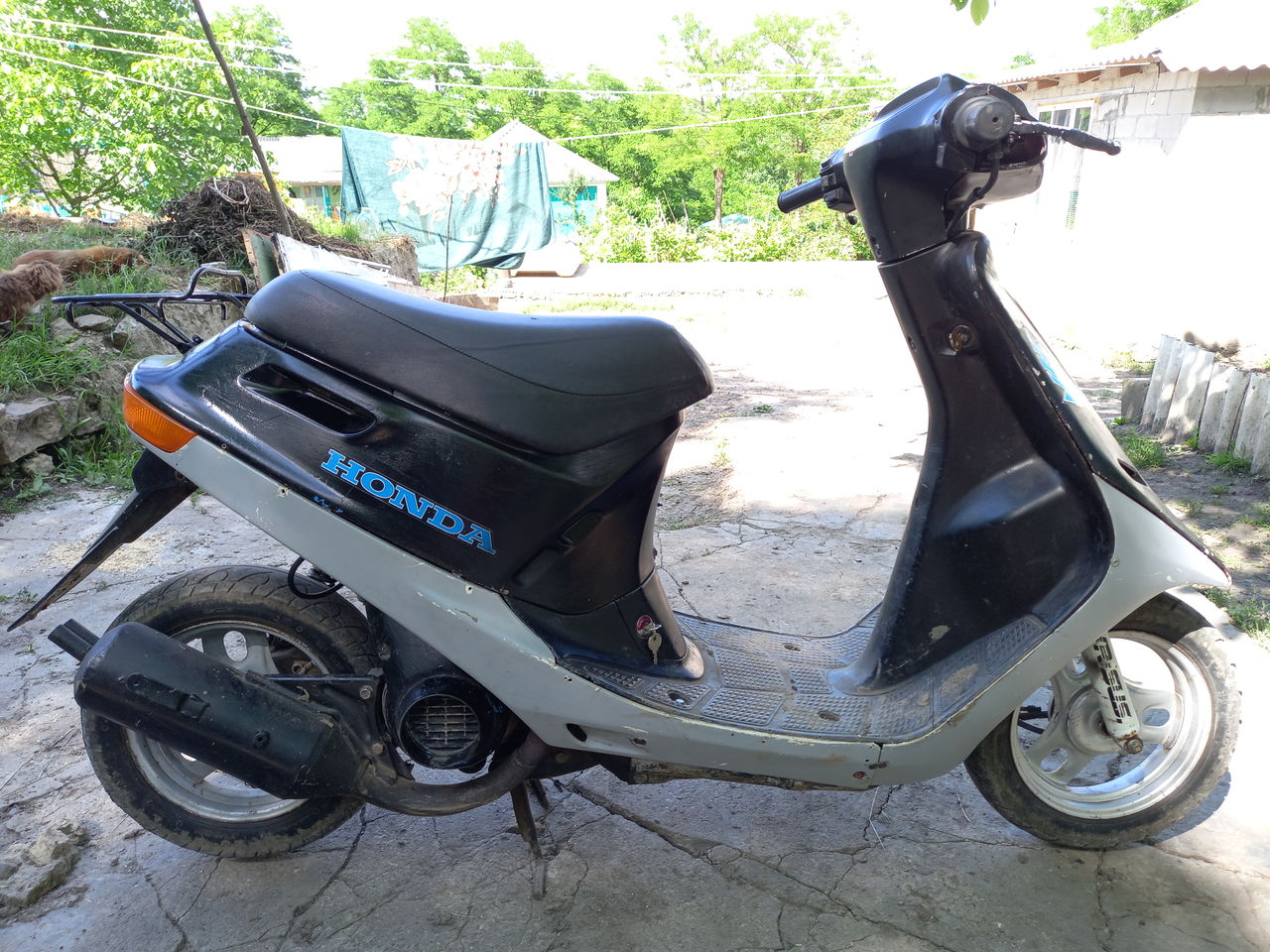 Honda dio af18 характеристики