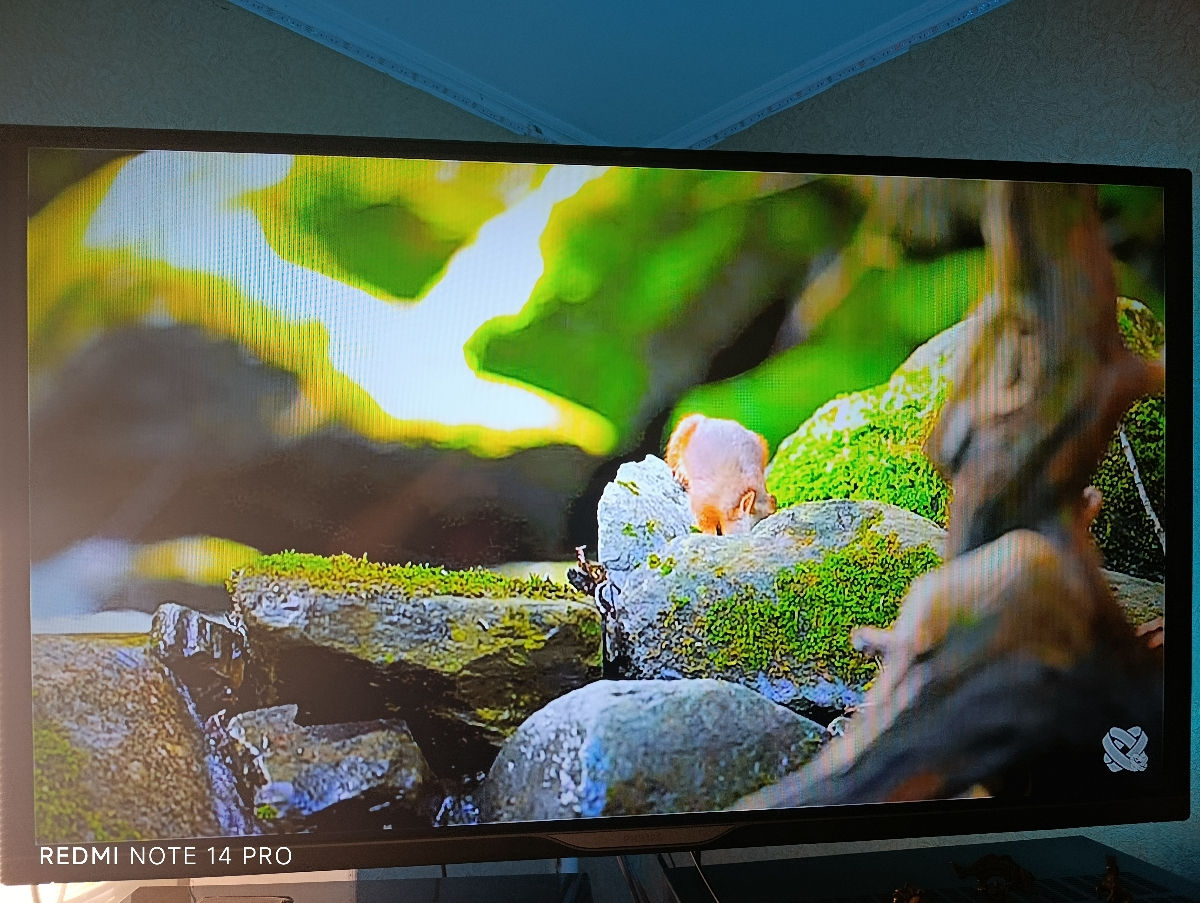 Philips Smart tv 43, foto 2