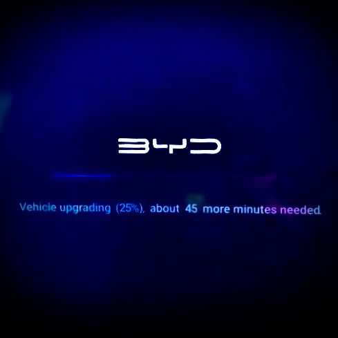 BYD русификация, SIM, обновление, программы, Apple CarPlay и Android Auto фото 1