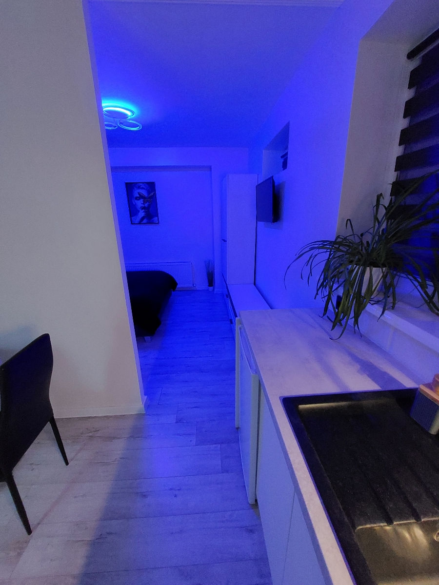 Apartament cu 1 cameră,  Centru,  Cahul,  Cahul foto 2
