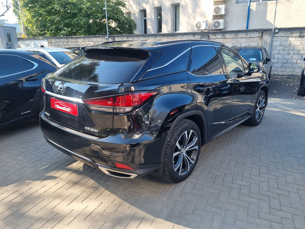 Lexus RX Series 2022 photo 5
