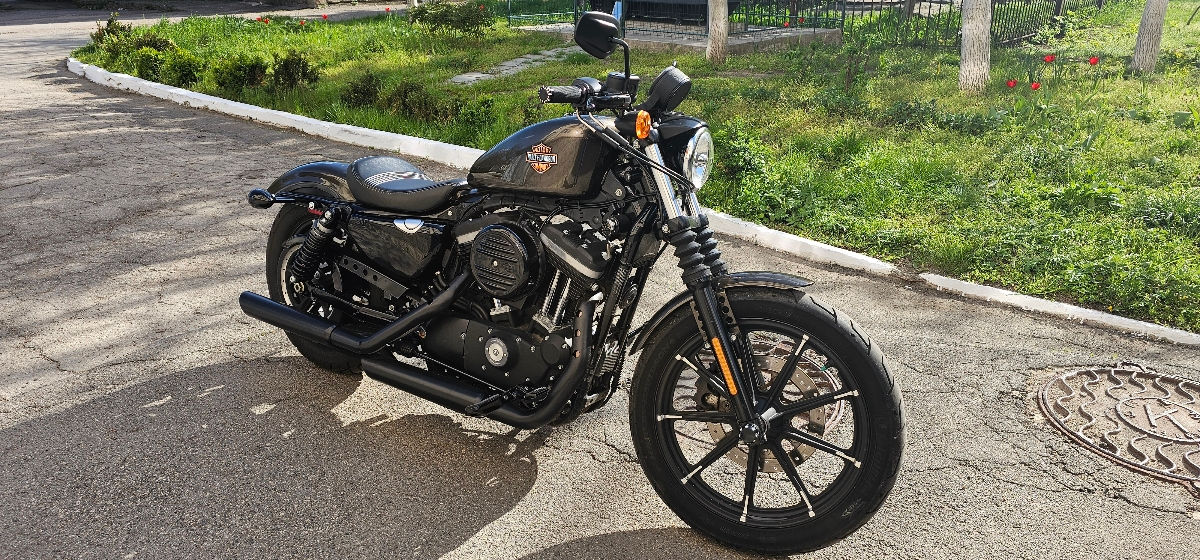 Harley - Davidson Sportster IRON 883 foto 2