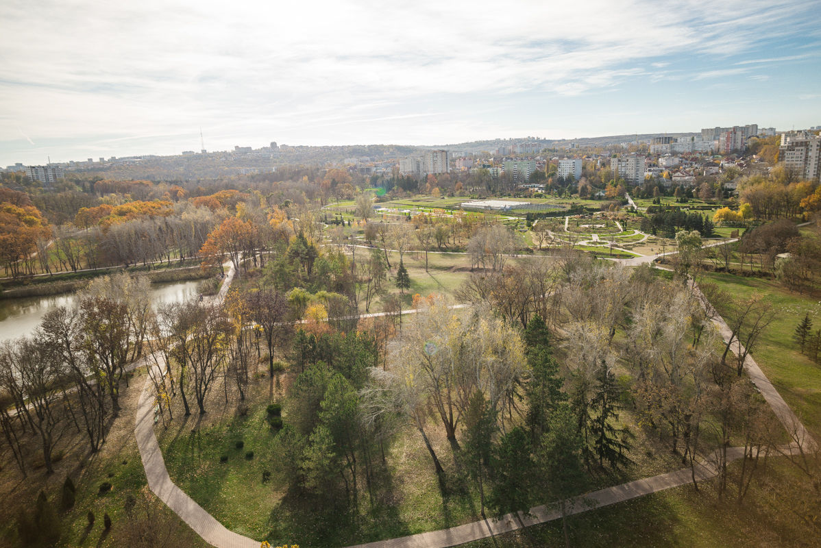 Железногорск дендрарий фото