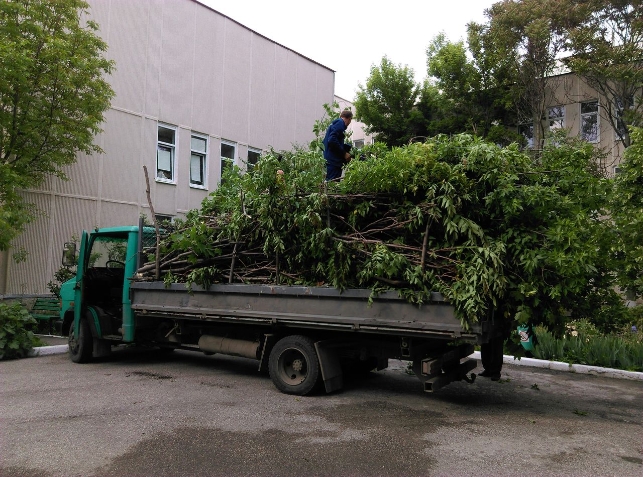 Вывоз веток, хлама. В кузов влезает 12 кубов веток, хлама, листьев, опилок  и др.