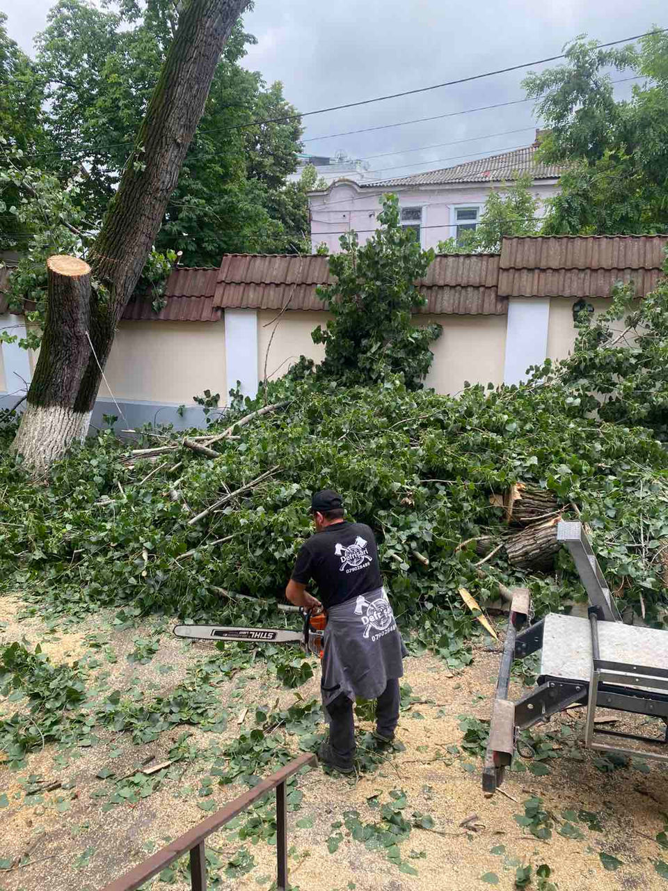 Taierea copacilor, crengilor, defrisare, aranjarea gradinilor, Пилим деревья. foto 1
