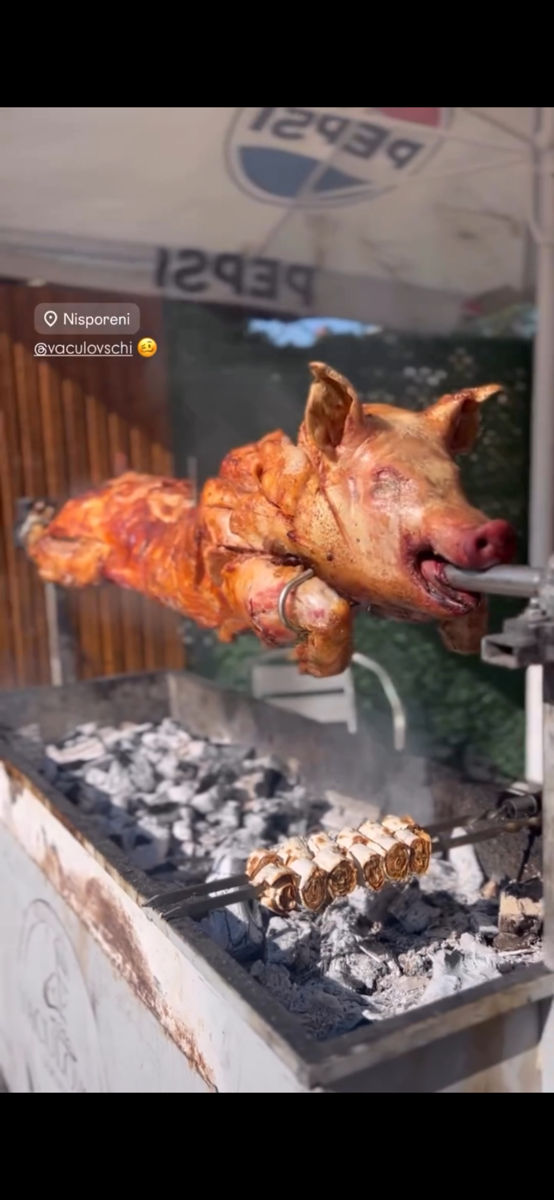 Servicii catering purceluș coorporativ foto 6