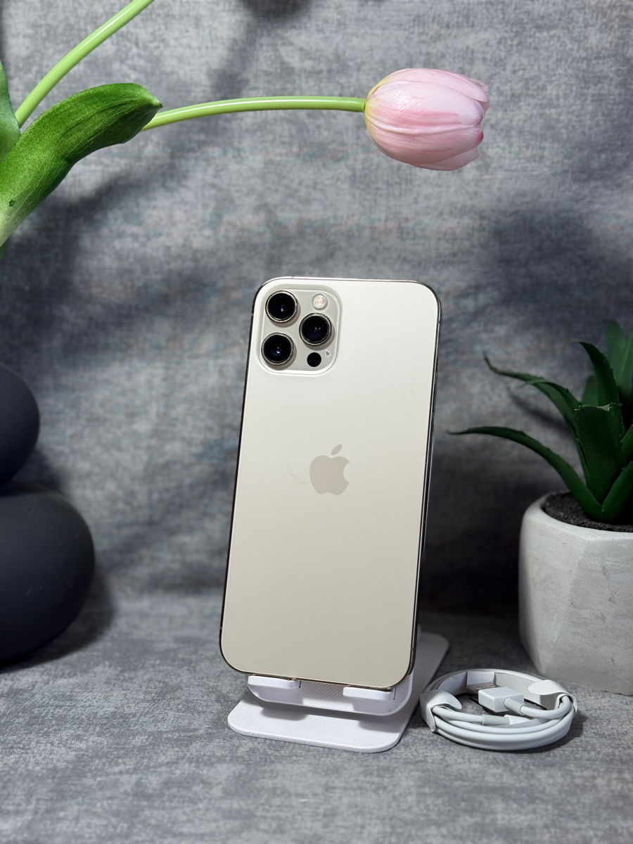 iPhone 12 Pro Max 256 Gb foto 0