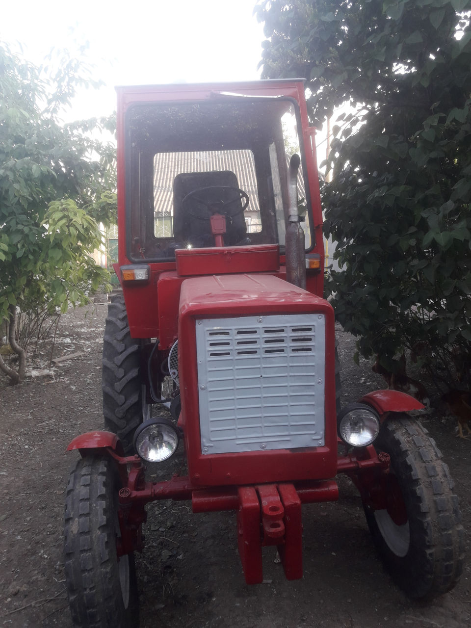 T25