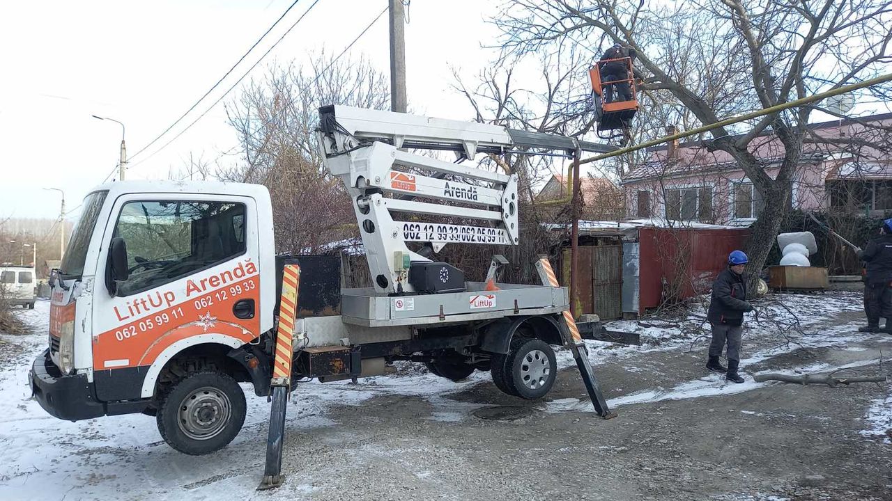 Taierea copacilor, crengilor, lucrari la inaltime cu Autoturnul! foto 0