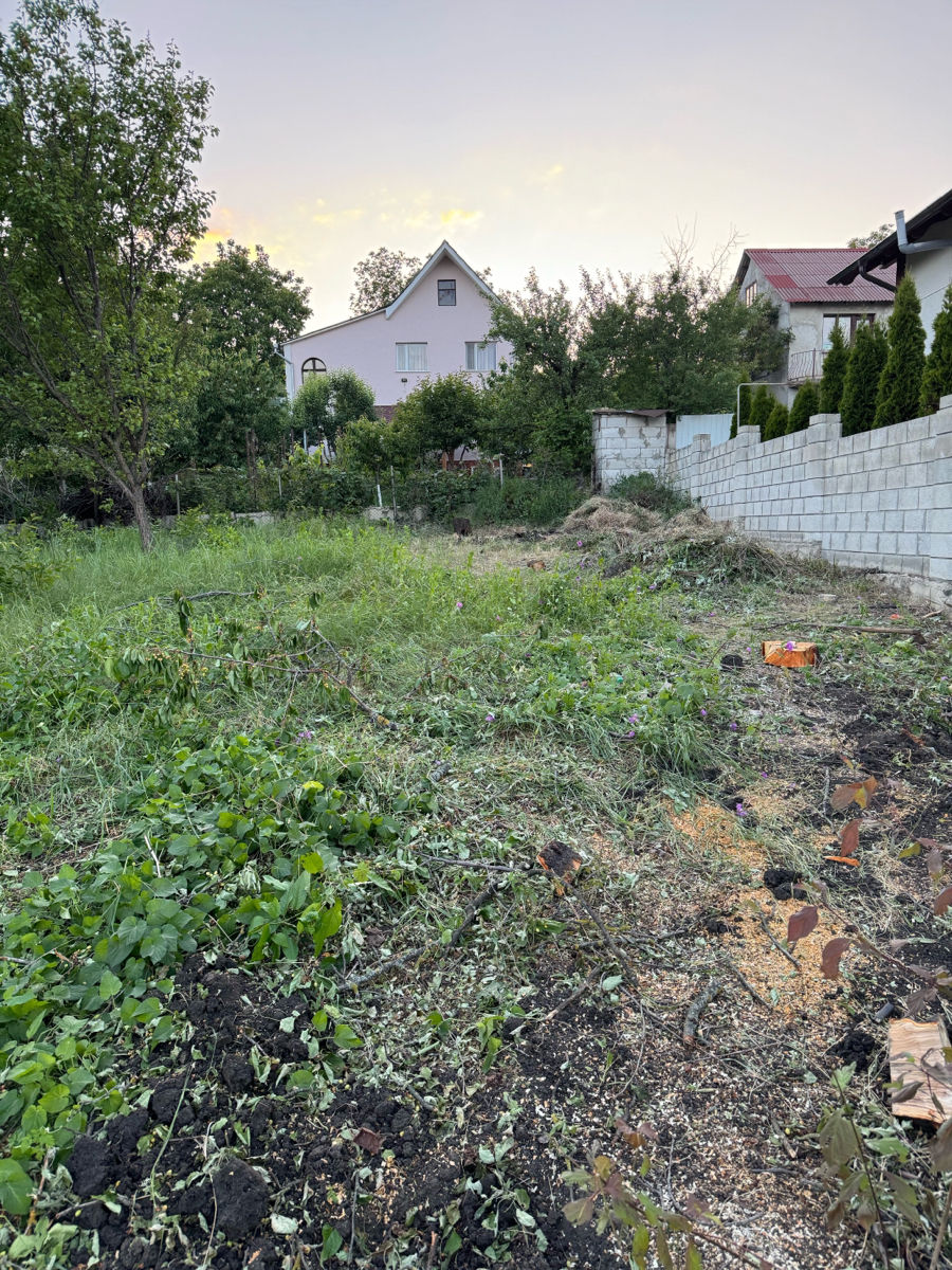 Расчистка участка. Покос травы. Спил деревьев. Подготовка участка под продажу. foto 1