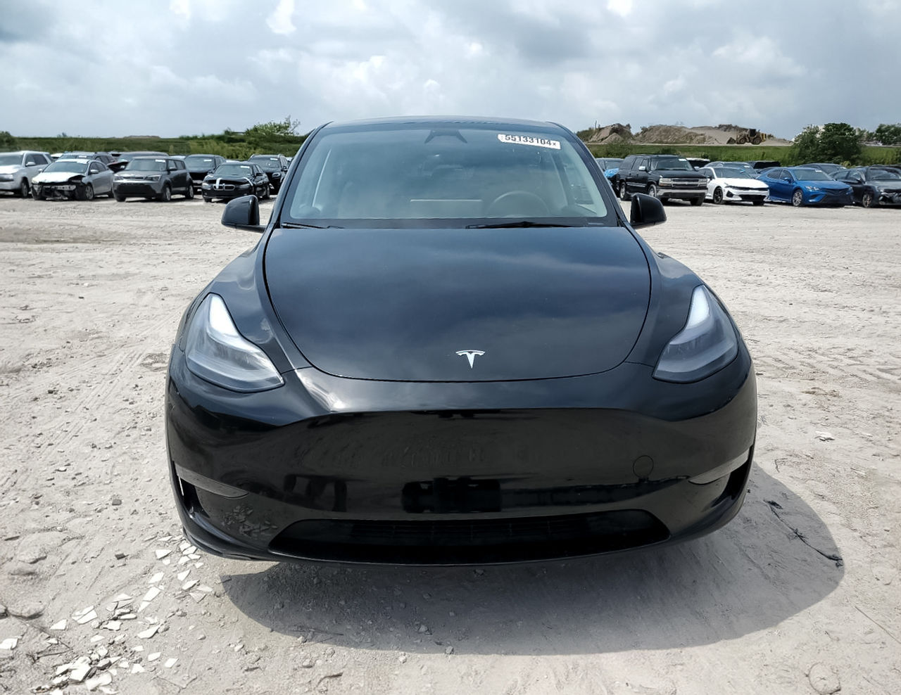 Tesla Model Y foto 1