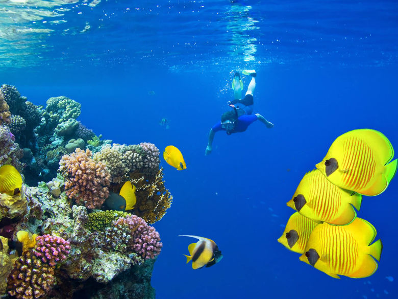 Горящий тур в Египет !!! - 999.md