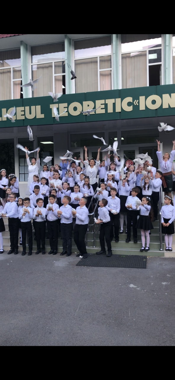 Porumbei pentru nunti, ceremonii foto 7