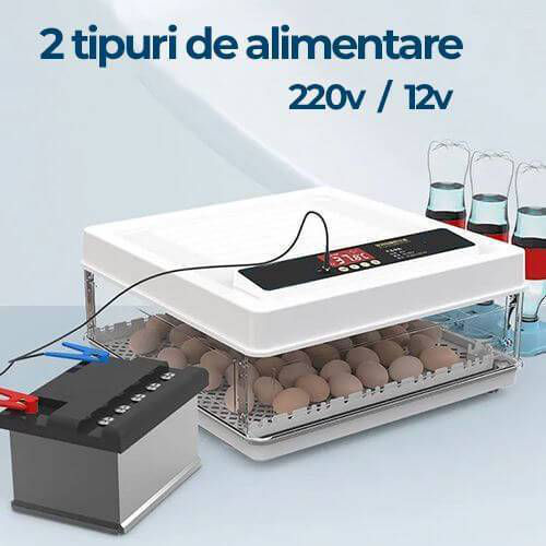 Incubatoare ouă Automate fii in rind cu tehnologiile noi foto 1