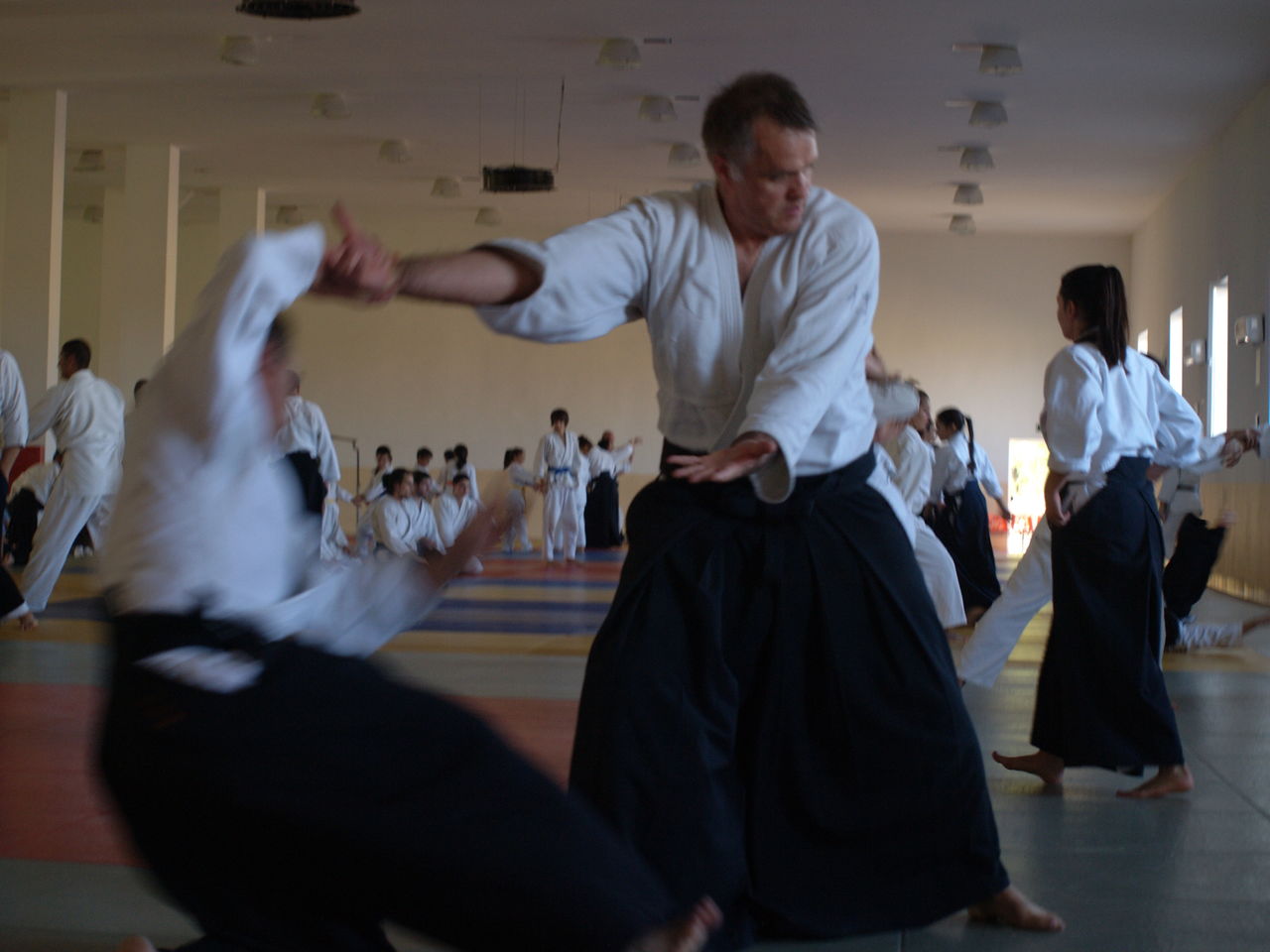Aikido/Айкидо Секция Айкидо на Ботанике. foto 0