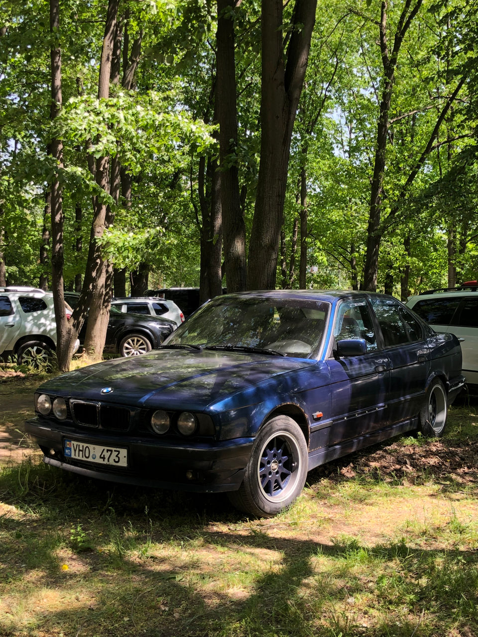 BMW 5 Series foto 5