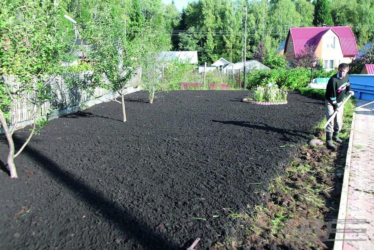 как улучшить почву на дачном участке