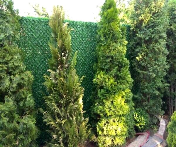 Plasa verde decorativa pentru gard. foto 9