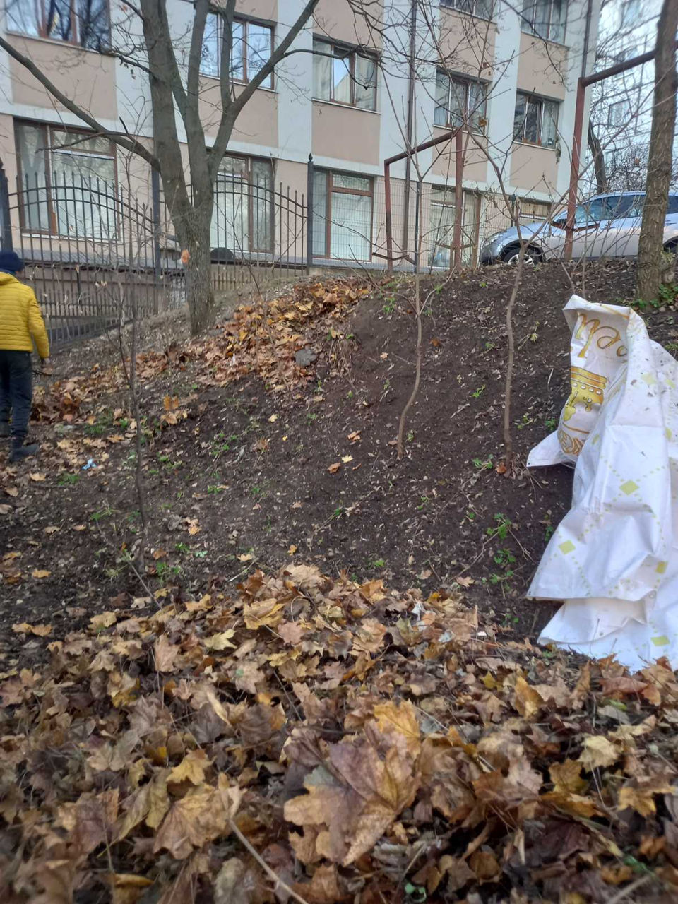 Услуги по уборке территории foto 4