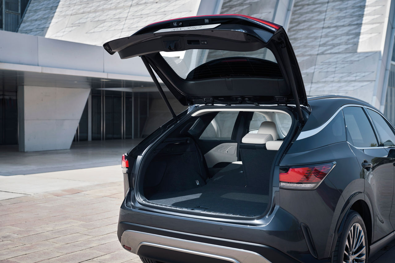 Lexus RX Series foto 6