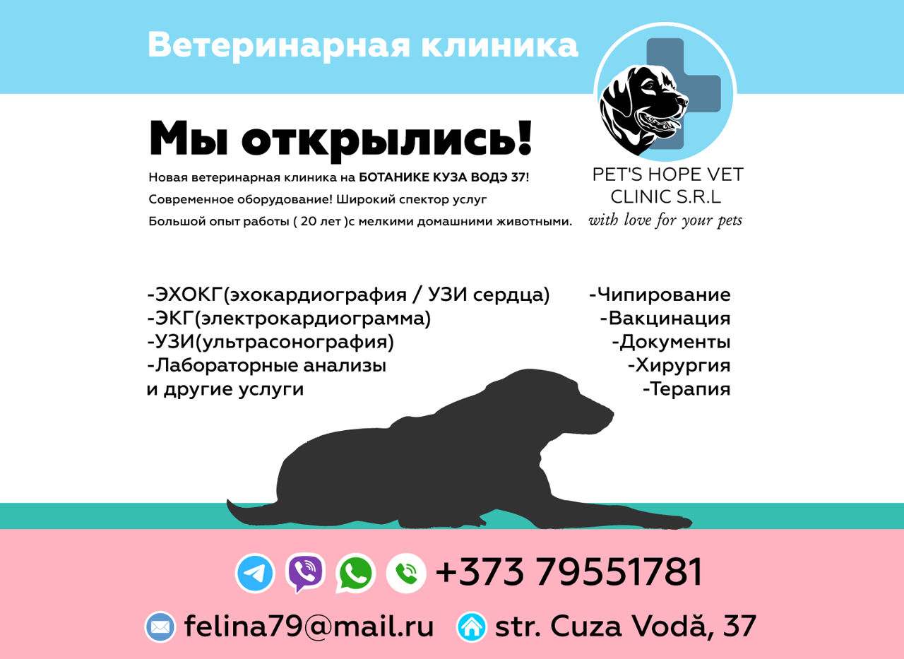 Ветеринарная клиника.  Ботаника,Куза Водэ 37. foto 1