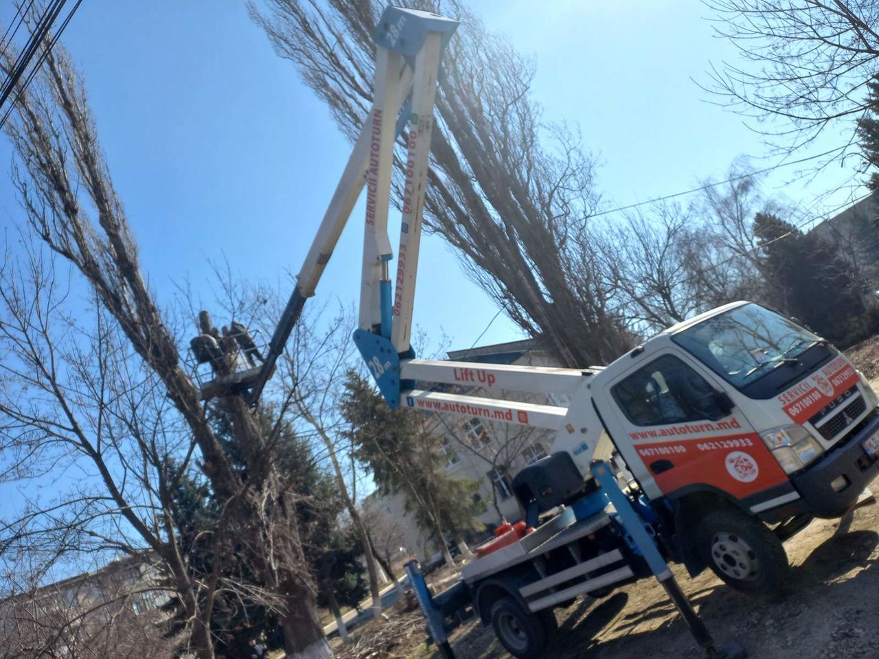 Servicii de tăiere copaci!!! Echipament modern, rapid si calitativ! foto 0