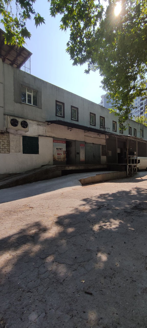 Depozit angro de nutret in Chisinau / Оптовый склад в Кишиневе по комбикорму / SA Marculesti Combi foto 1