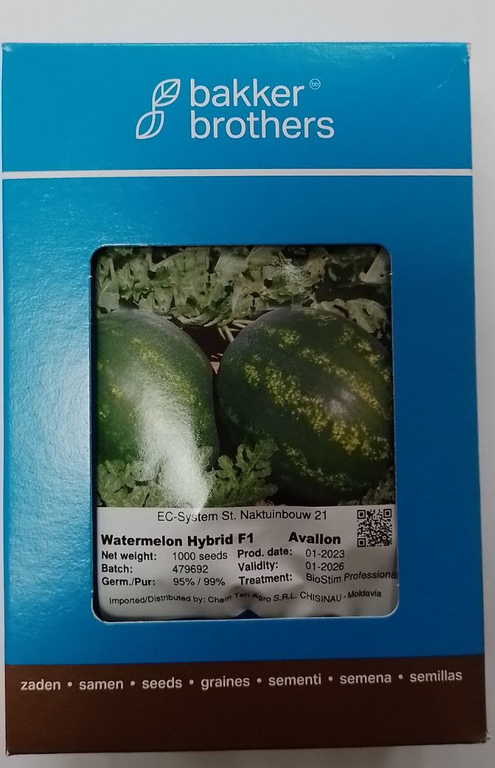 Semințe de pepene verde foto 5
