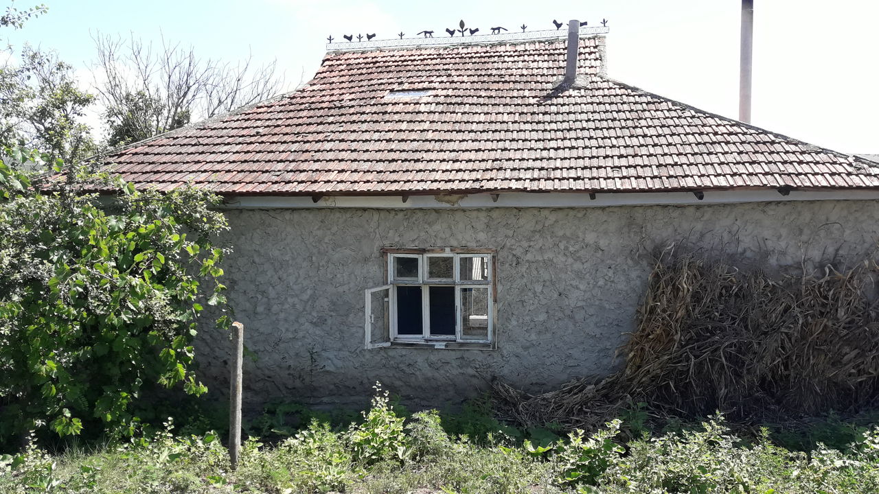 Casă cu teren sat. Brătuleni, r-nul Nisporeni foto 4