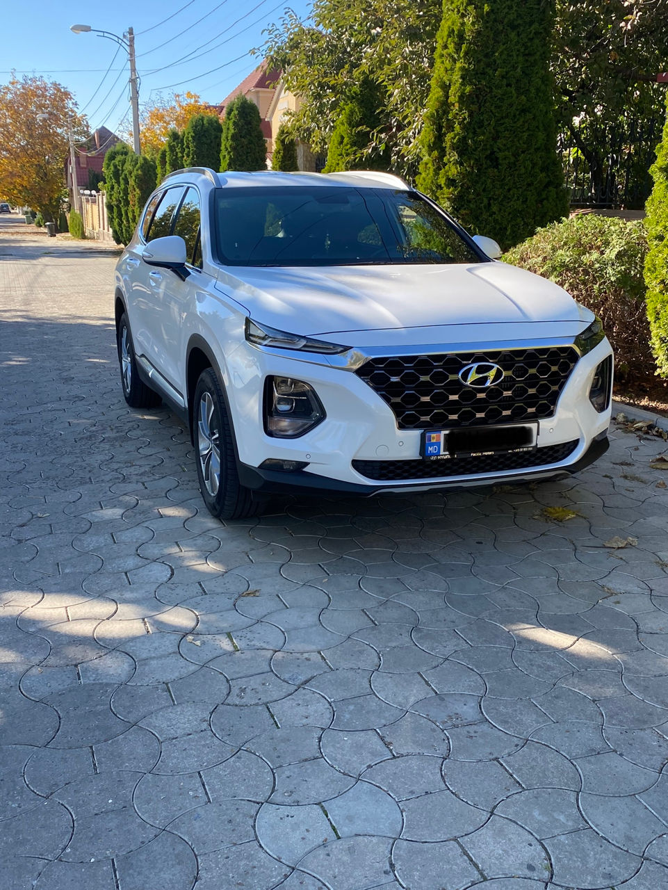 Hyundai Santa FE foto 1