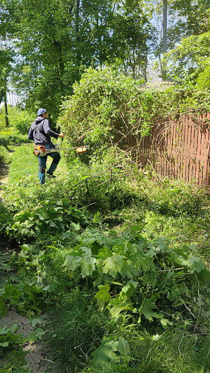Servicii de curățare și întreținere a terenurilor foto 9