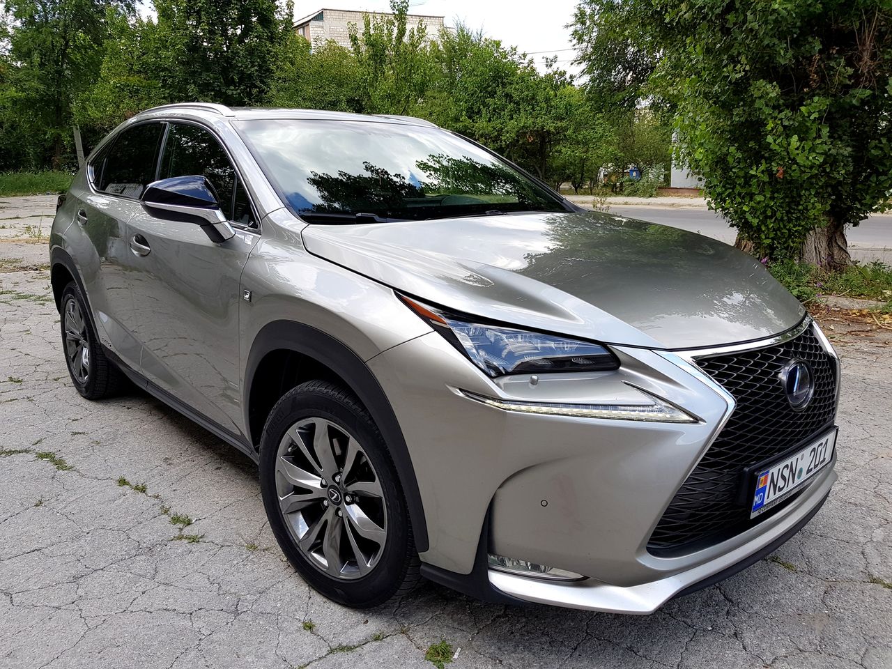 Lexus nx 2010