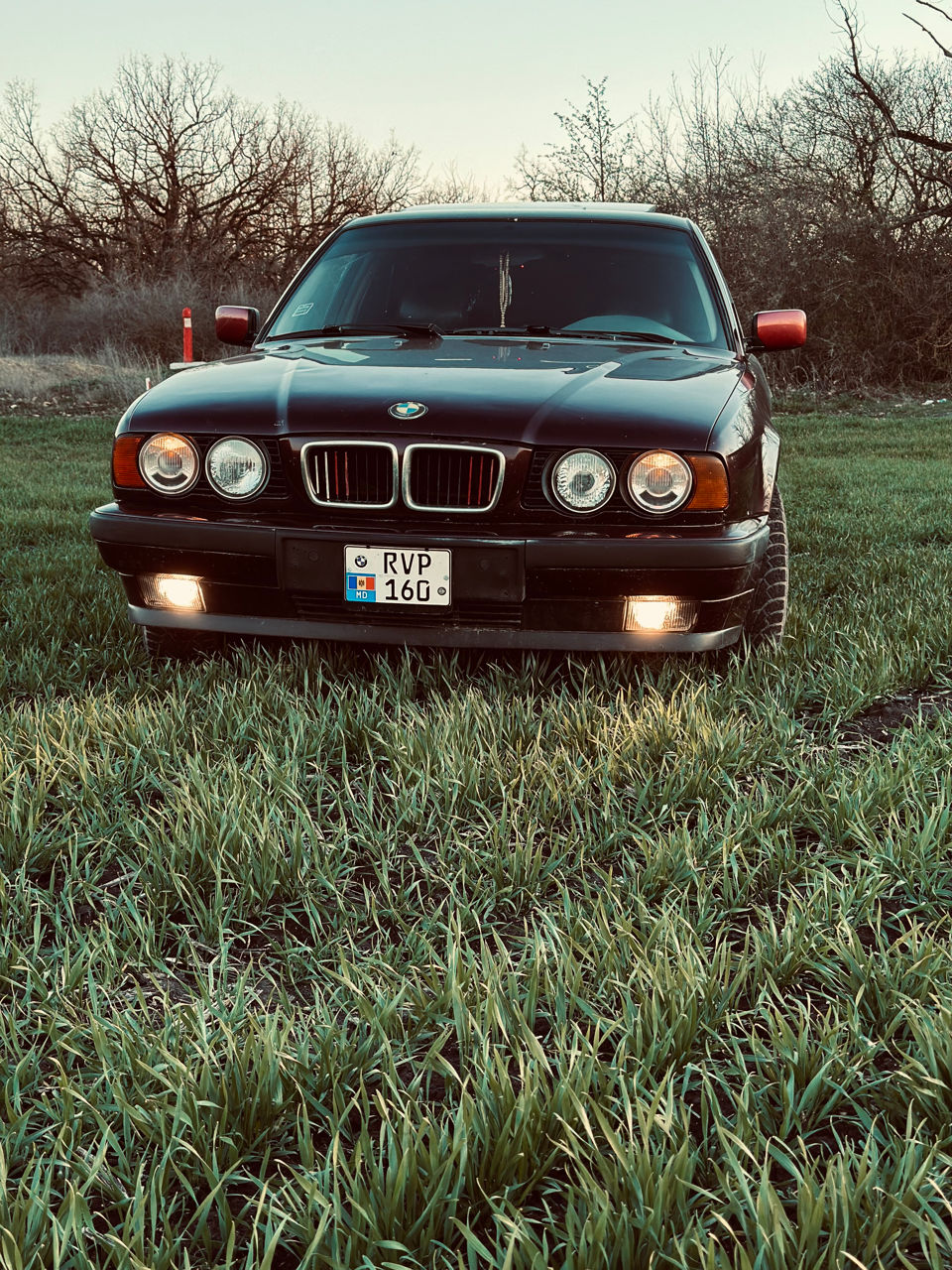 BMW 5 Series foto 2